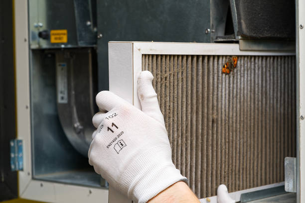 Best Residential Air Duct Cleaning  in Alamo, NV