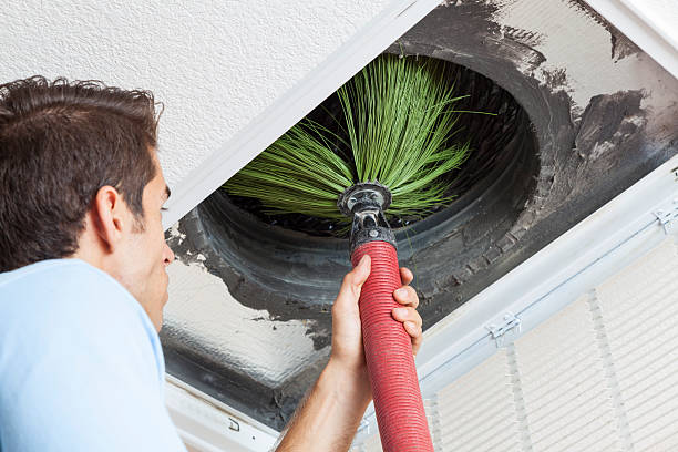 Best Air Vent Cleaning Services  in Alamo, NV