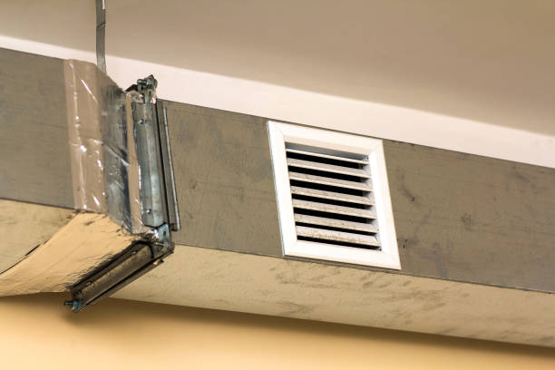 Best Dryer Vent Cleaning Services  in Alamo, NV